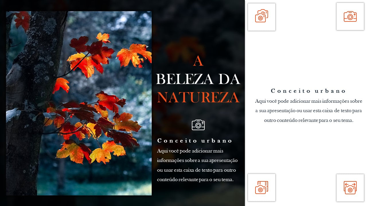 PORTFÓLIO - TEMPLATE EM POWERPOINT PARA FOTOGRAFIAS