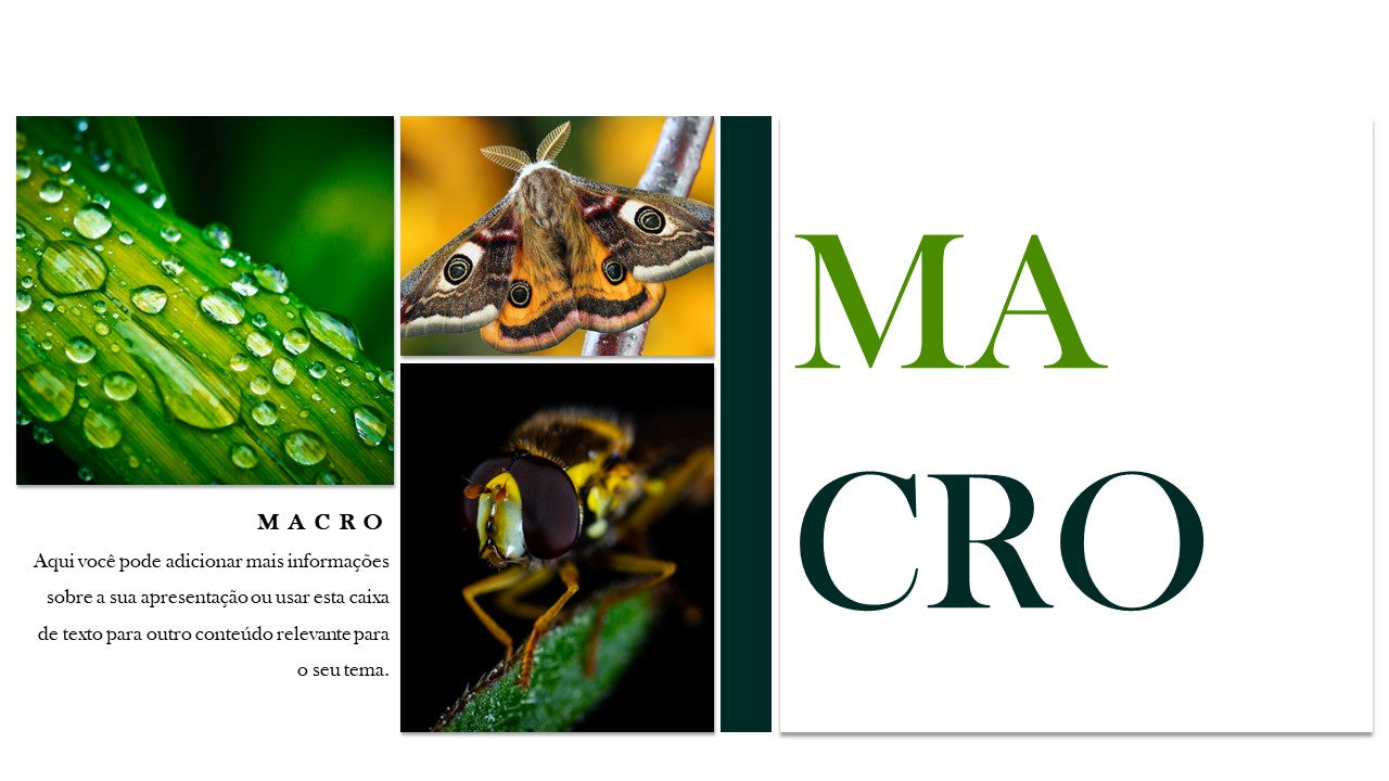 PORTFÓLIO - TEMPLATE EM POWERPOINT PARA FOTOGRAFIAS