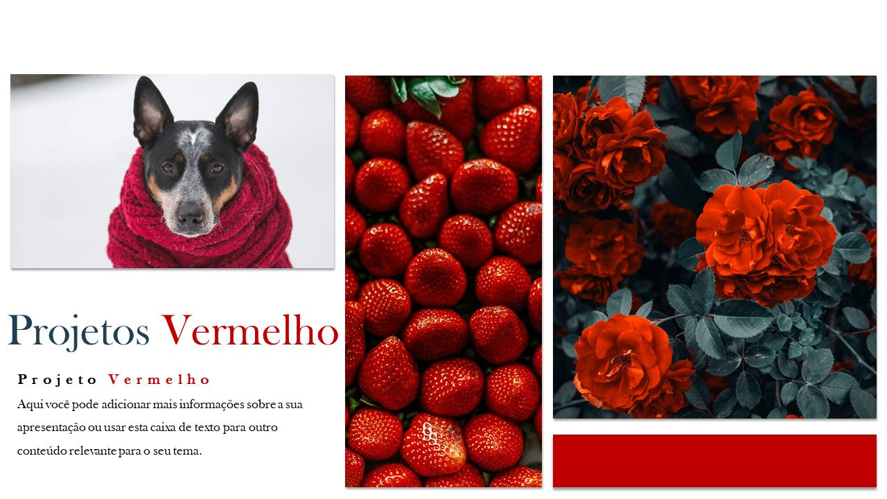PORTFÓLIO - TEMPLATE EM POWERPOINT PARA FOTOGRAFIAS